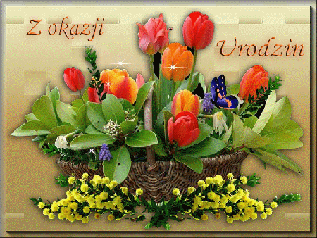 Z okazji urodzin tulipany kosz  motylek